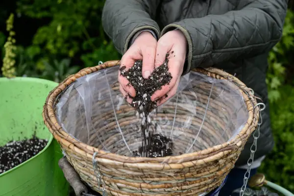 Filling a wicker hanging basket with good quality compost