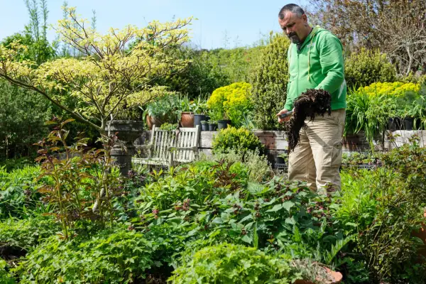 Adding mulch to a garden