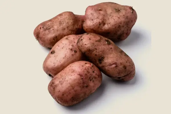 Irregular-shaped, red 