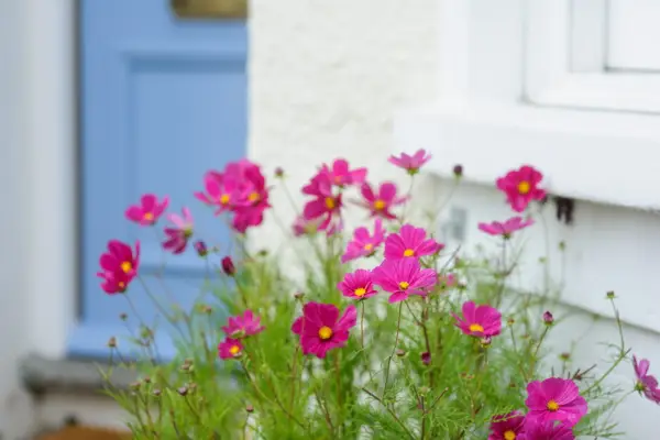 Full Frontal Gardens (29th August 2012)