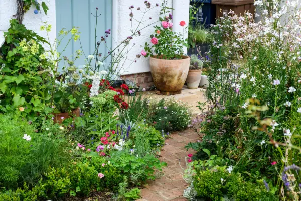 Cottage garden and roses outside a front door. Jason Ingram