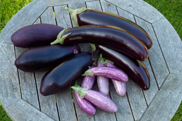 A selection of aubergine varieties on a wooden table