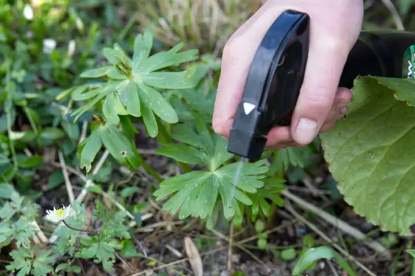 Spraying with calcium chloride
