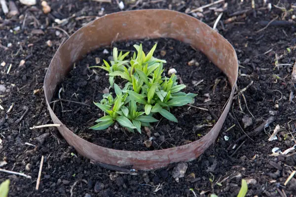 Using a copper barrier