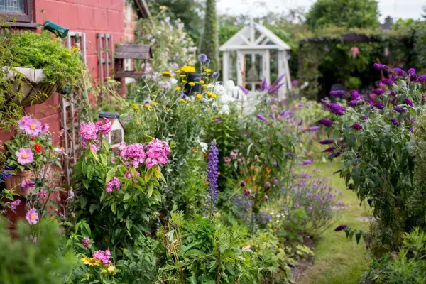 Cottage garden
