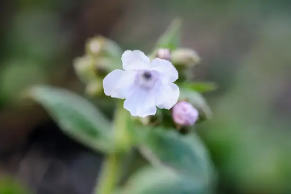 シャワー「氷河」
