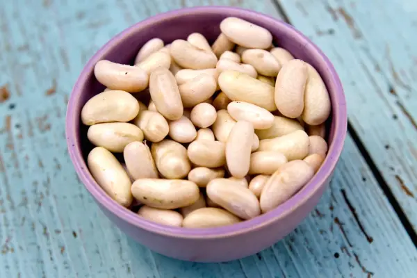 Phaseolus vulgaris 'Boby Bianco'