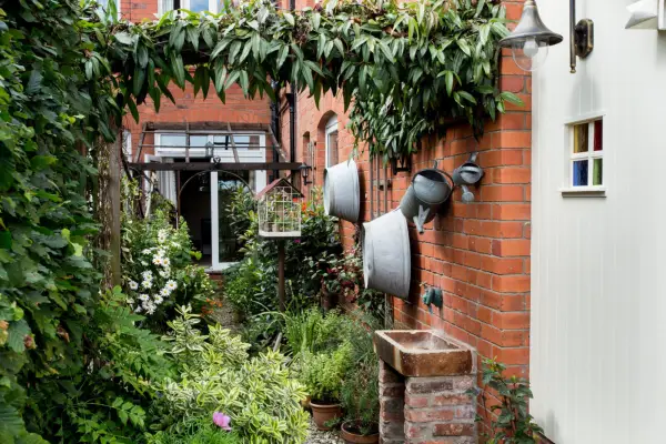 Wooden garden arch supporting an evergreen Clematis armandii