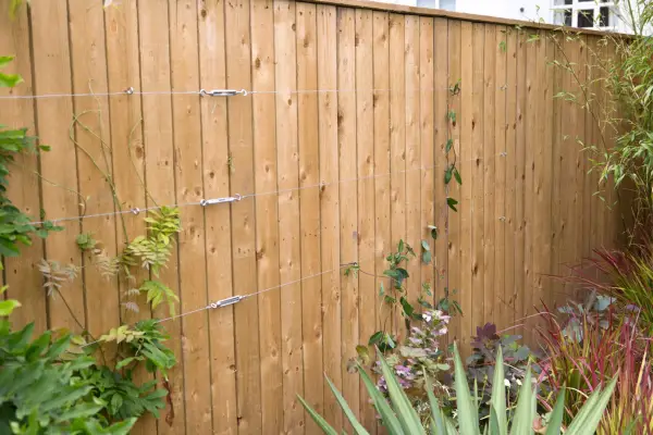 Metal wires fixed to a fence