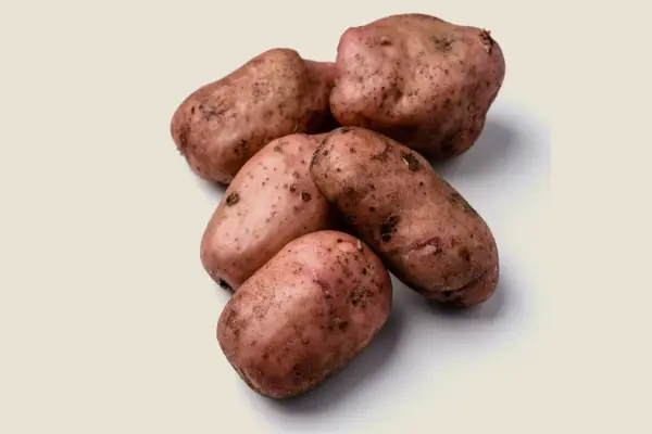 Potato 