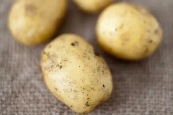 Potato 
