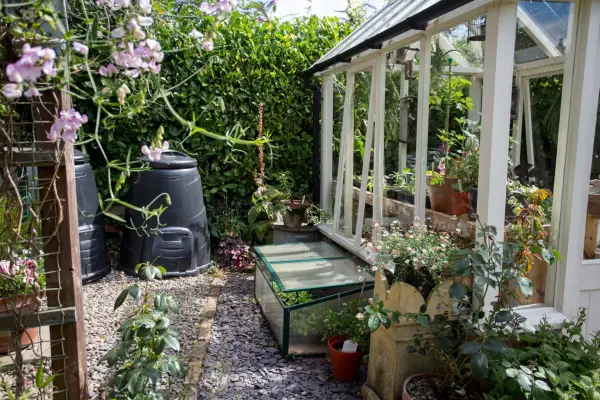 Podstawowy przewodnik szklarni