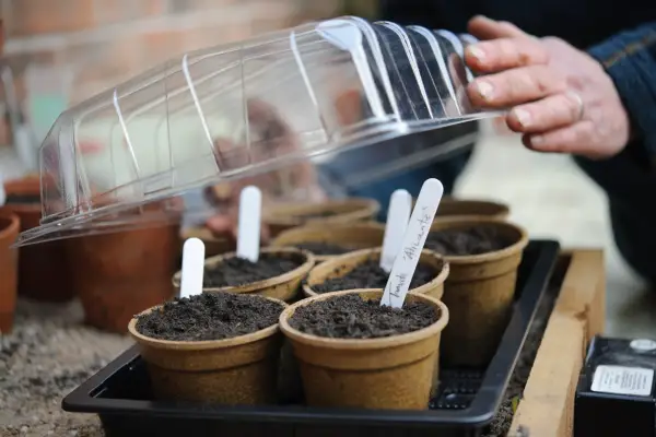 Váš rok na zaznamenávanie semien