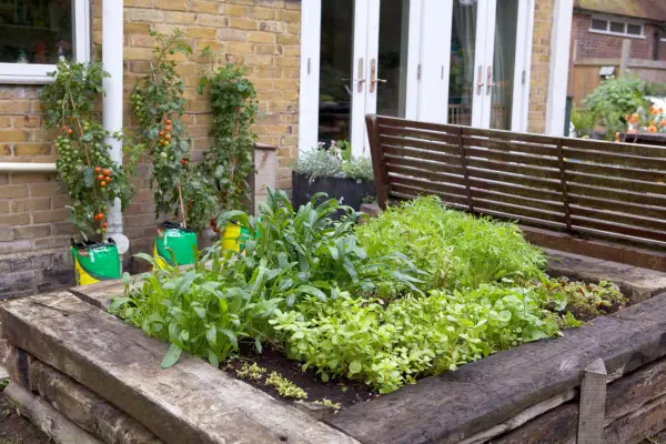 A raised bed constructed from old railway sleepers