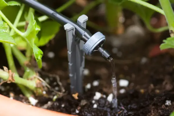 A drip-irrigation watering system