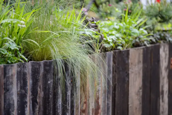 Sfaturi de grădinărit pentru paturi ridicate