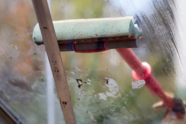 Cleaning greenhouse glass with a mop