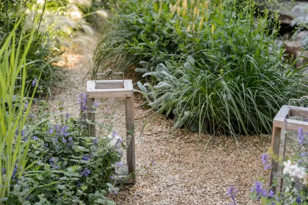 Best plants for a gravel garden