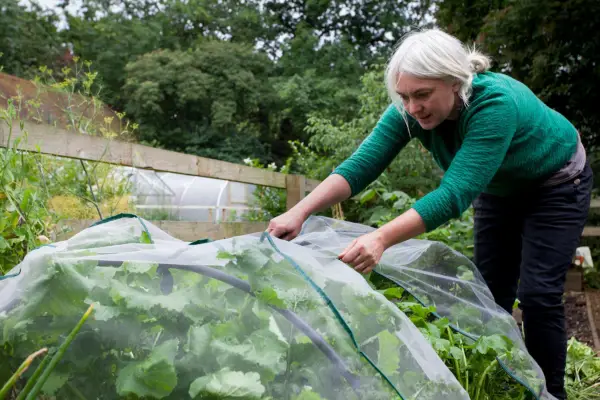 Jobs for November - covering crops