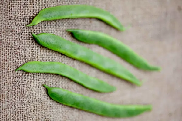 Runner bean 