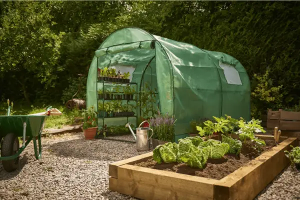 Halls Atrium Greenhouse - Verdantvows