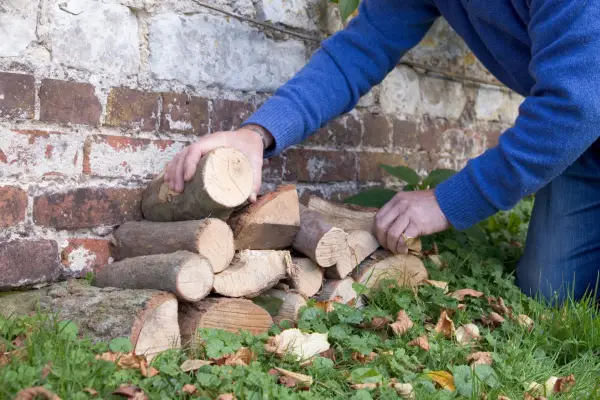 Making a log pile