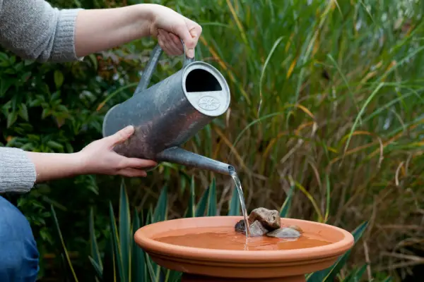 Jardim Wildlife Works para junho