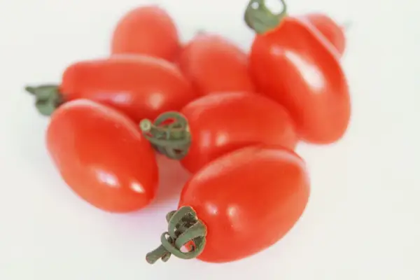 Mini plum tomato 