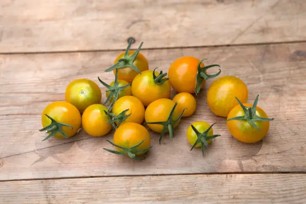 Orange-yellow cherry 