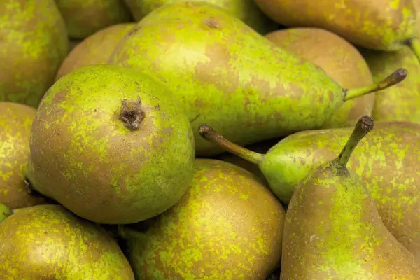 Pears