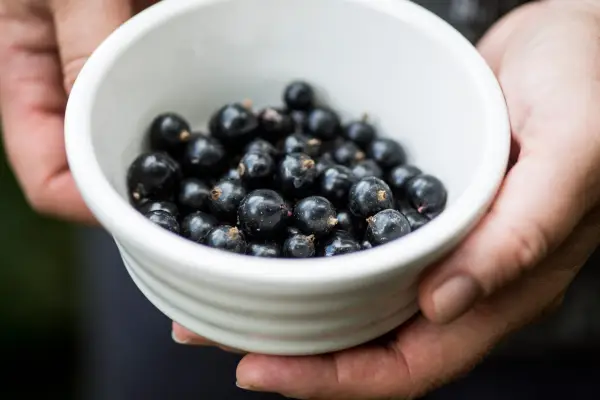 Blackcurrants - high in vitamin C