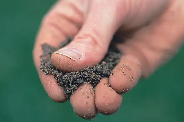 Rubbing sandy soil between thumb and fingers