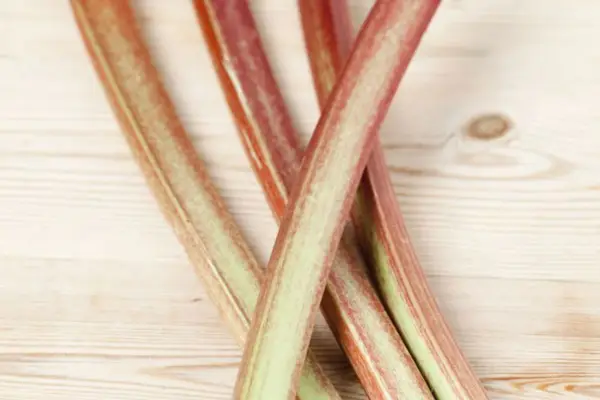 Rheum x Hybridum 'Raspberry Red'