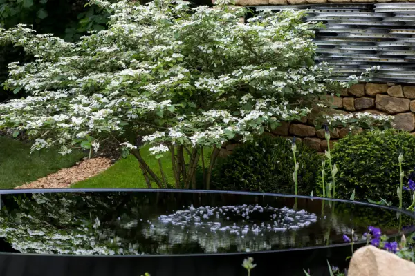 Pond at the RHS Chelsea Flower Show