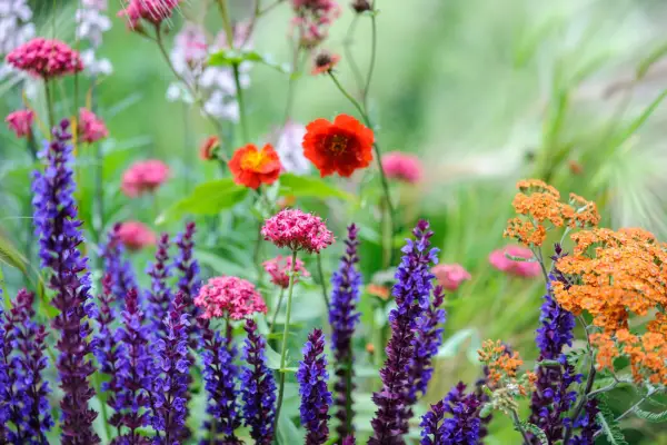 Meadow plant pot display
