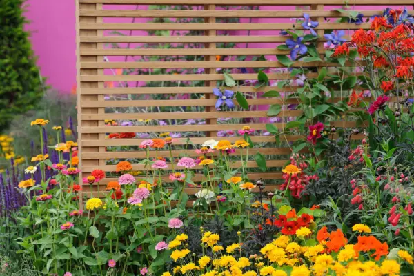 Subtle trellis for privacy