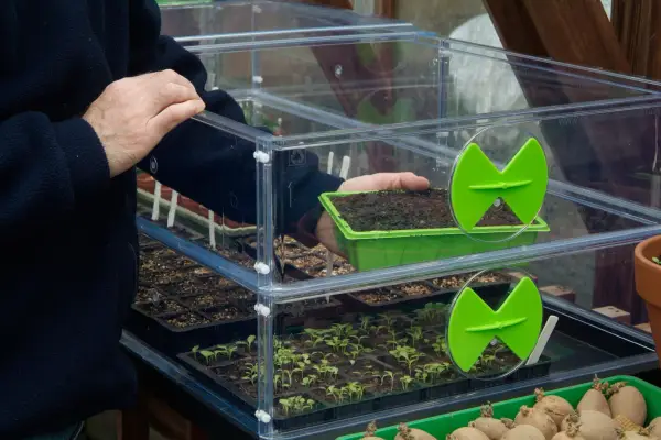 Sowing seed early - using a heated propagator