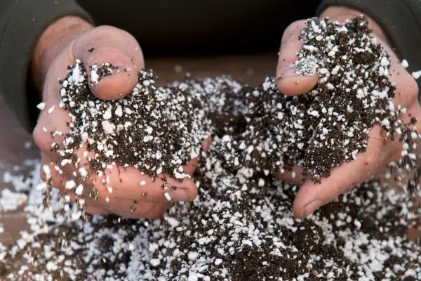 Mixing vermiculite into compost