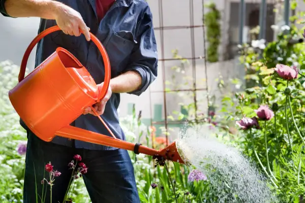 Šest způsobů, jak připravit hranice na léto