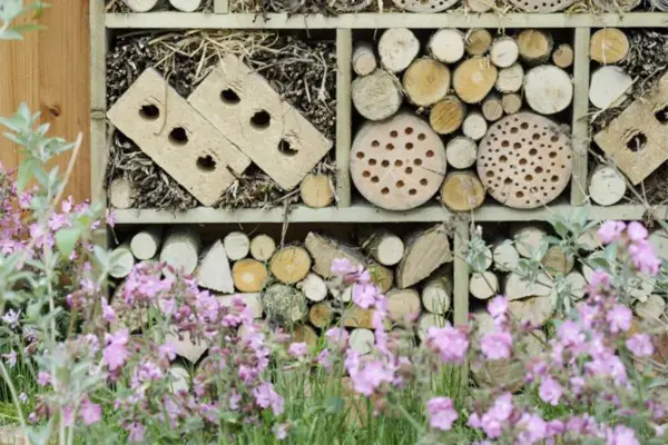 A decorative wildlife-haven wall made of old pallets, bricks and offcuts of branches and twigs