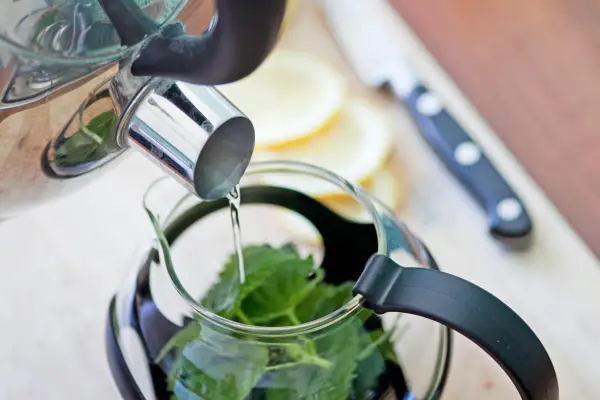 Pouring boiling water on nettle leaves in a glass teapot to make nettle tea