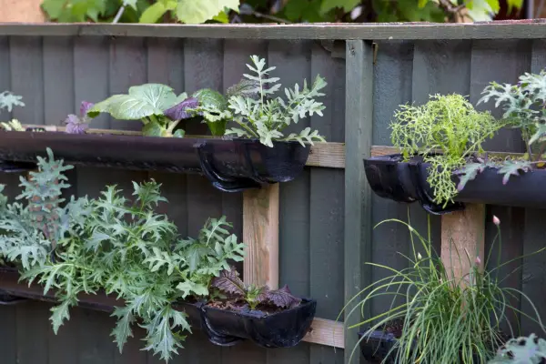 Vertical planting with guttering