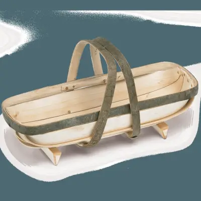 8 월에 구할 5 개의 씨앗