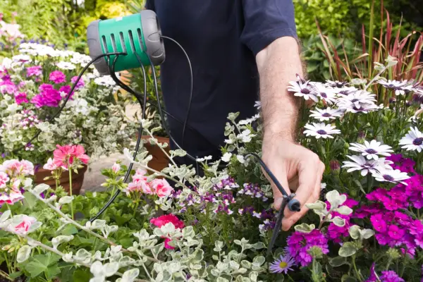 Setting up an automatic watering system