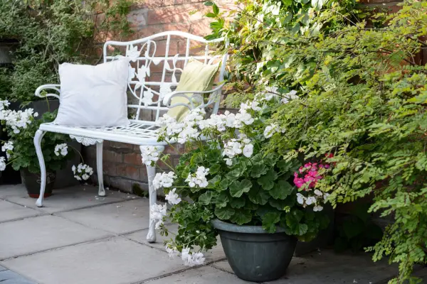A white cast-iron bench in a patio garden