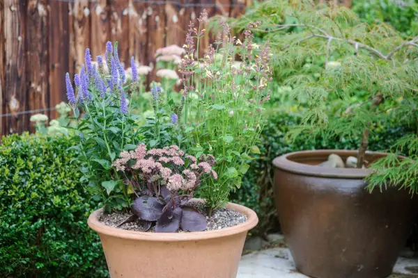 Bee-friendly pot