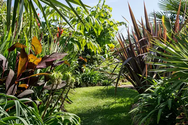 Lawn in a small garden