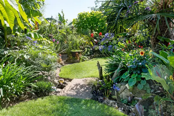 A well-stocked small garden with central lawns joined by a stepping stone