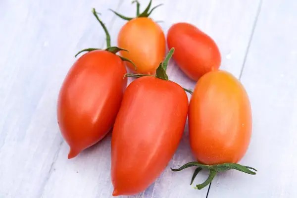 Lycopersicon Esculletum 'Hybridstern'