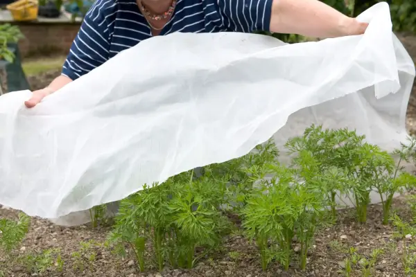 Cover your vegetable beds